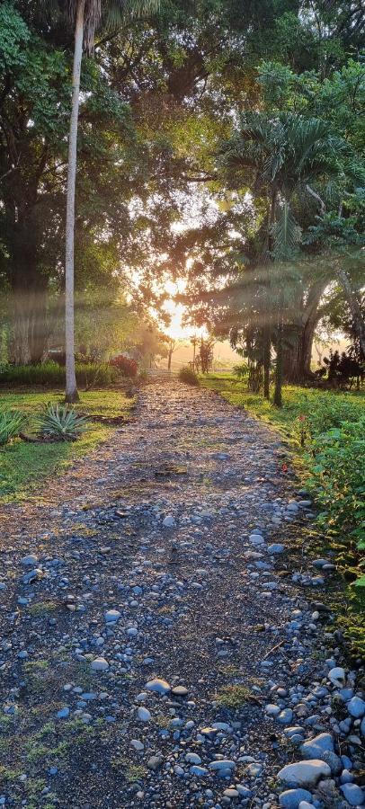 Hotel Veragua River House Sierpe エクステリア 写真