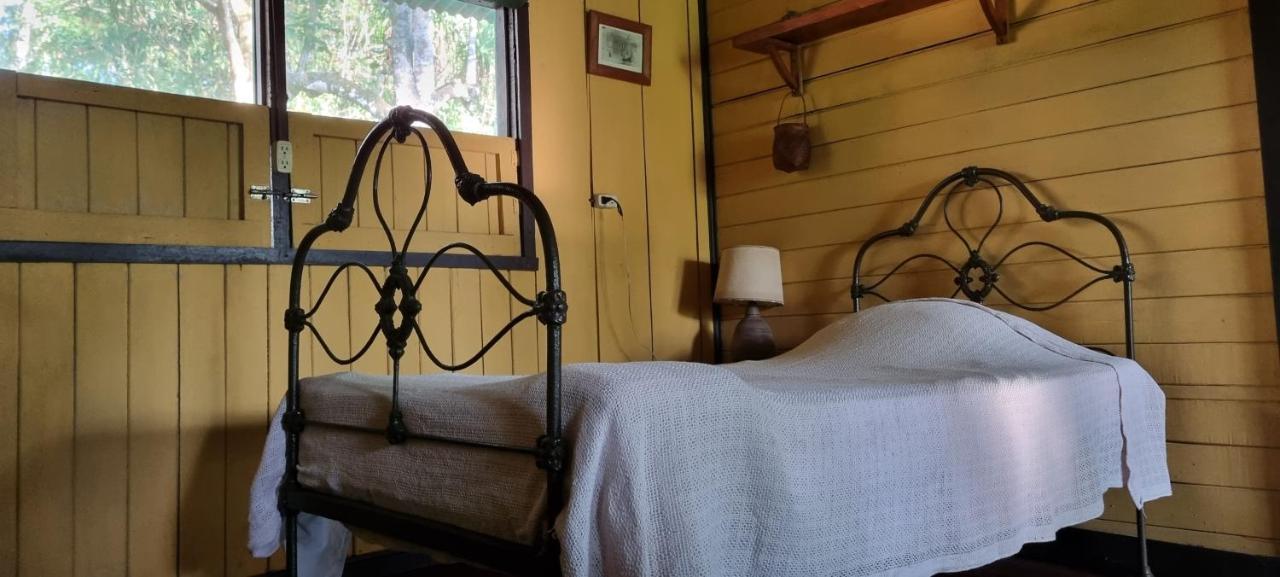 Hotel Veragua River House Sierpe エクステリア 写真