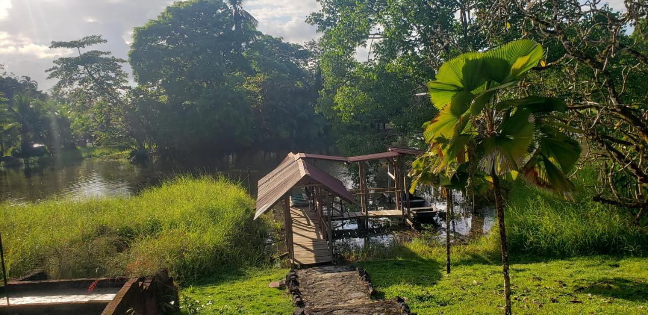 Hotel Veragua River House Sierpe エクステリア 写真