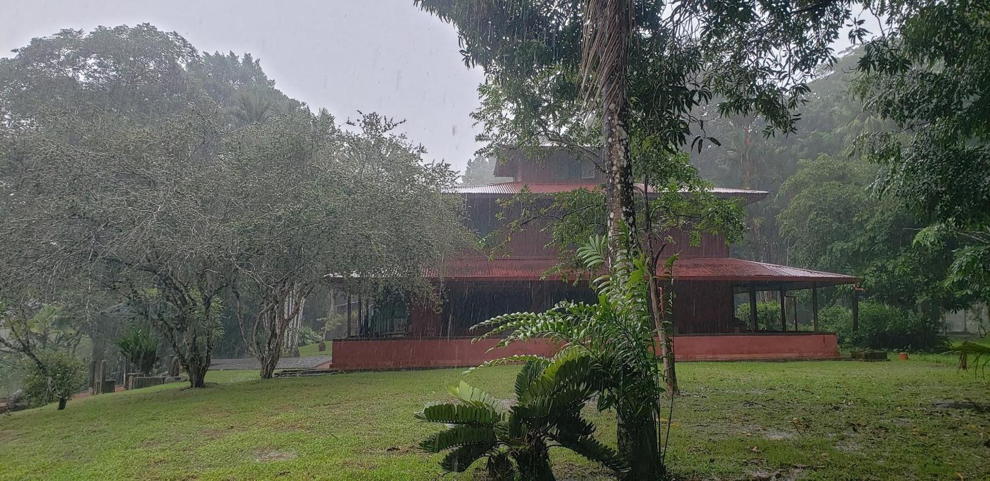 Hotel Veragua River House Sierpe エクステリア 写真