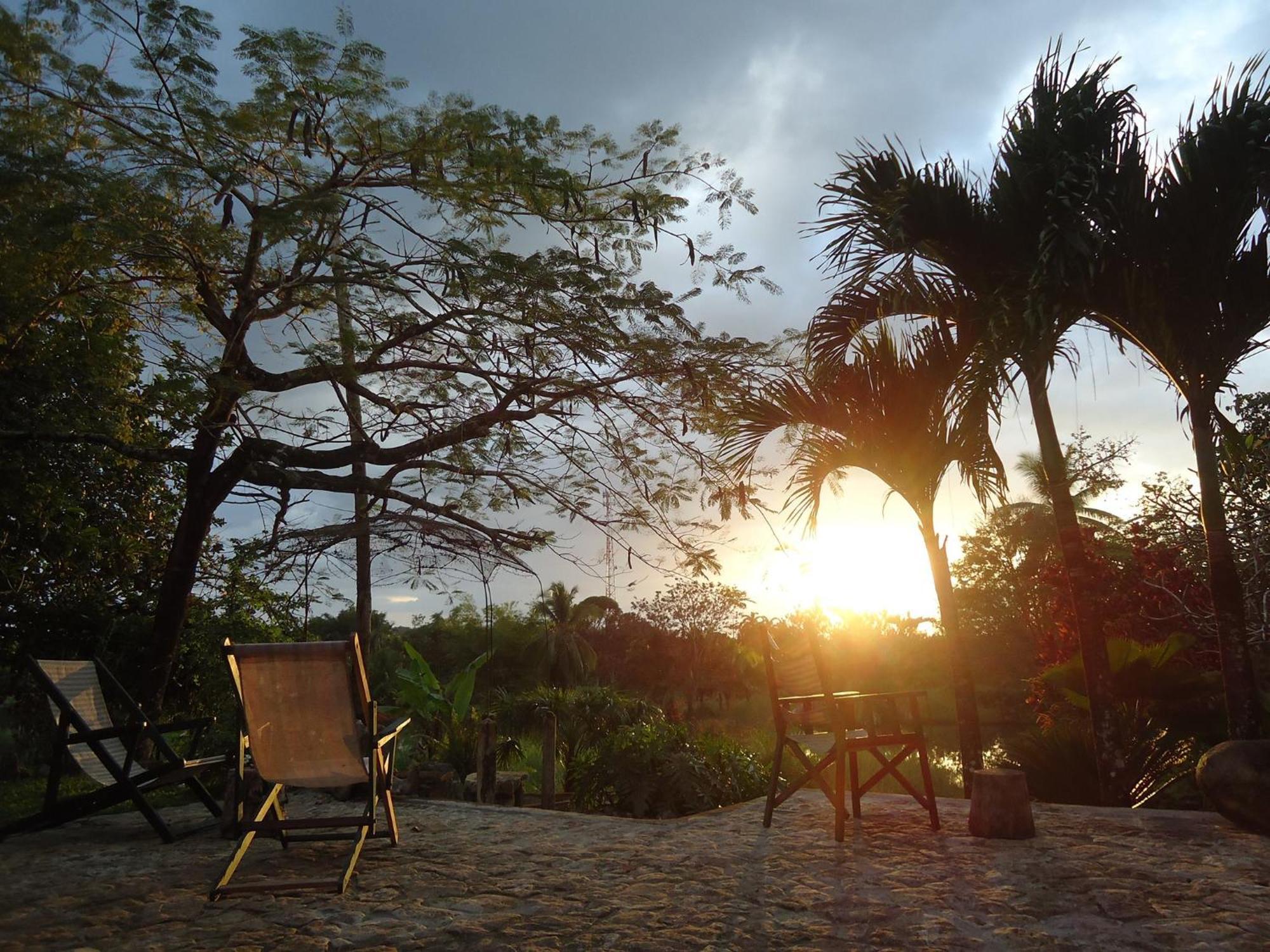 Hotel Veragua River House Sierpe エクステリア 写真
