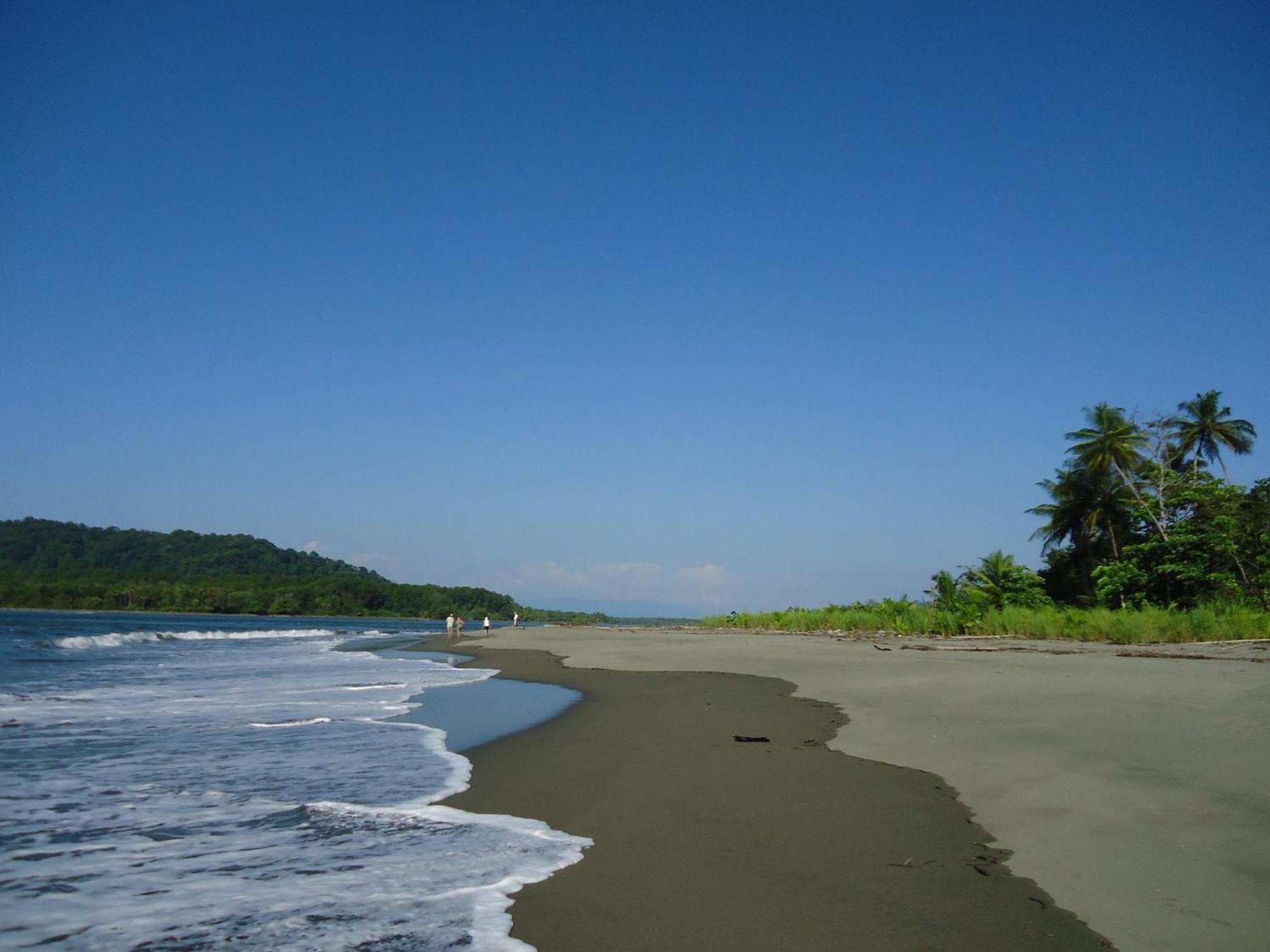 Hotel Veragua River House Sierpe エクステリア 写真