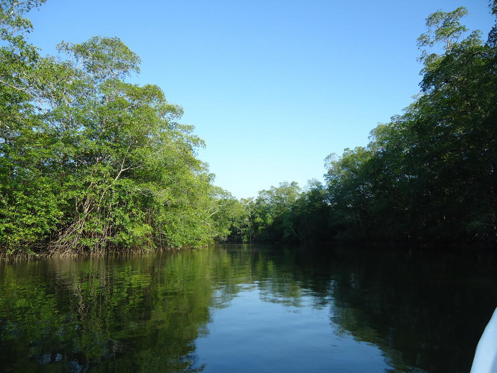 Hotel Veragua River House Sierpe エクステリア 写真