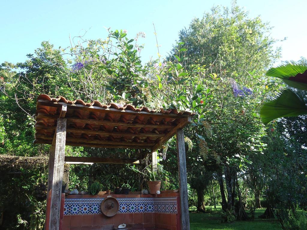 Hotel Veragua River House Sierpe エクステリア 写真