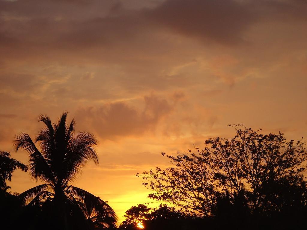 Hotel Veragua River House Sierpe エクステリア 写真