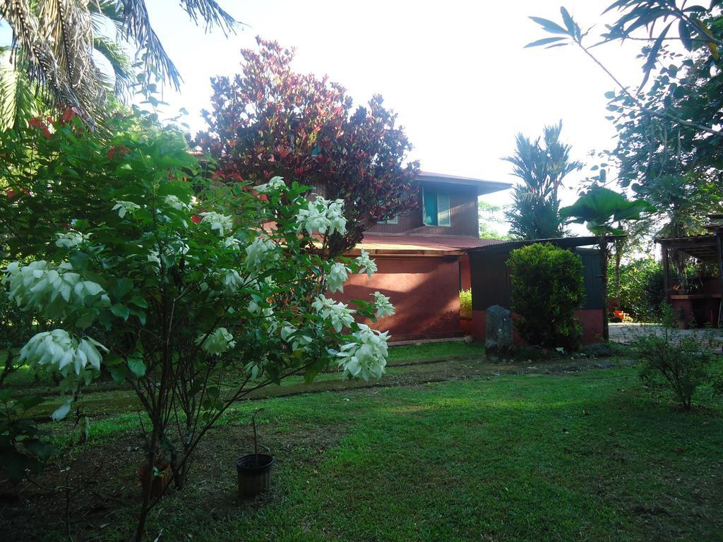 Hotel Veragua River House Sierpe エクステリア 写真