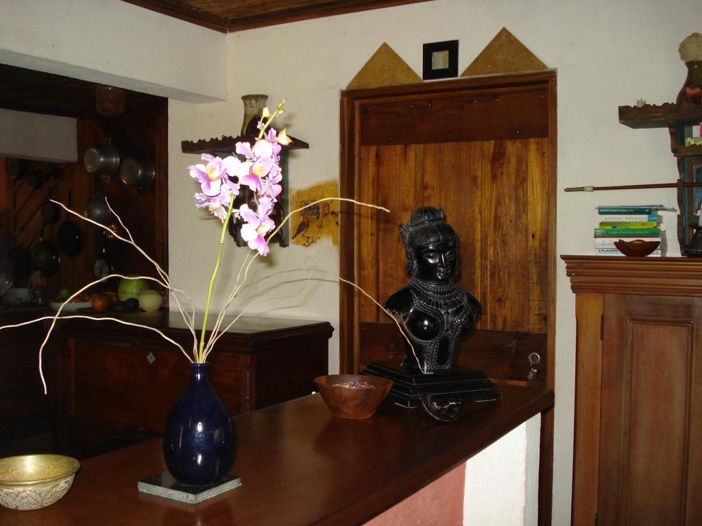 Hotel Veragua River House Sierpe エクステリア 写真