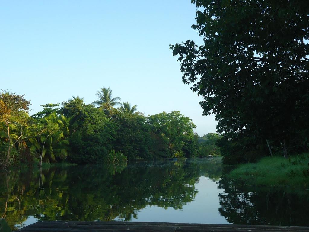 Hotel Veragua River House Sierpe エクステリア 写真